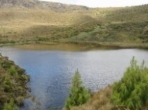 Imagen Laguna Chinchilla